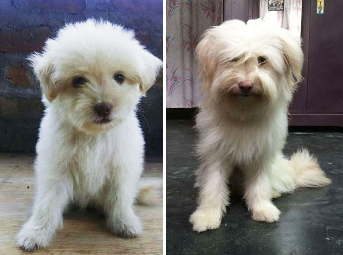 My Summer. Then 1 Month Old And Now 1 Year Old!