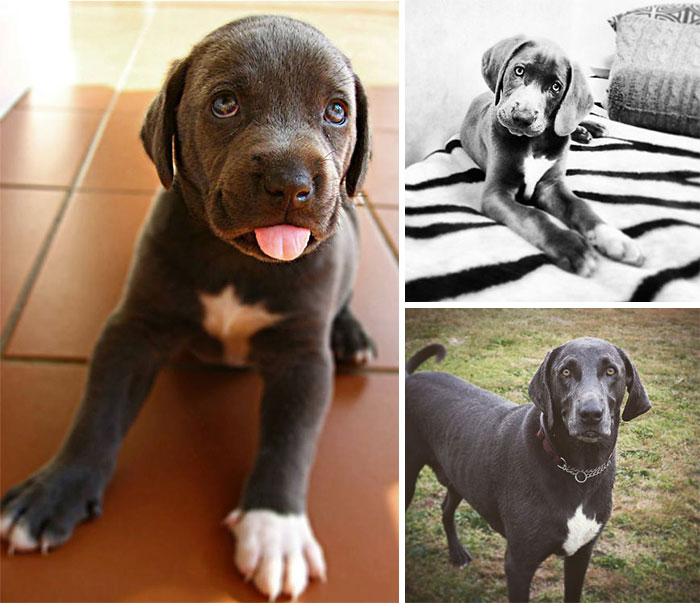 Silly Then. Goofball Now