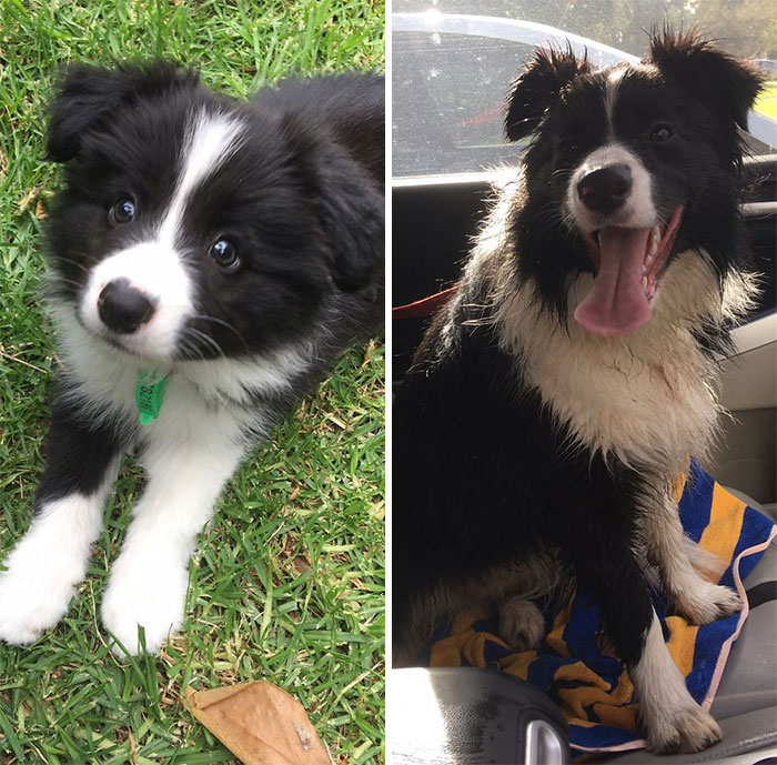 Matilda 10 Weeks And 10 Mths