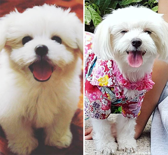 When She Was 3 Months Old Vs Now. She Still Has That Grin Going