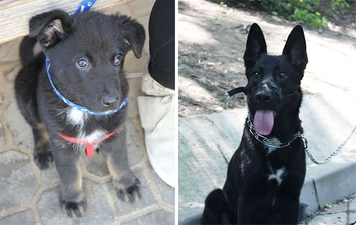 Tara At 1 Month Vs At 10 Months