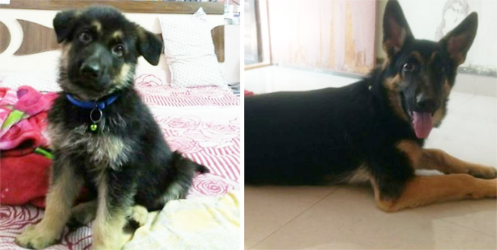 Sandy From 45 Days To 6 Months