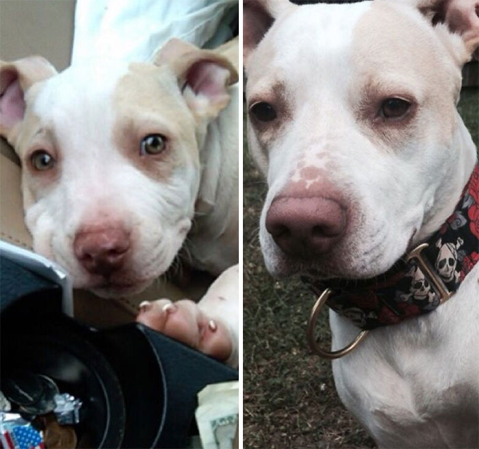 The Love Of My Life. They Grow Up So Fast 