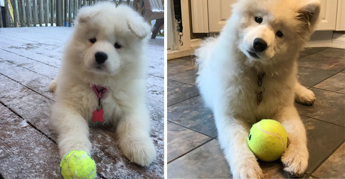Mochi At 2 And 6 Months