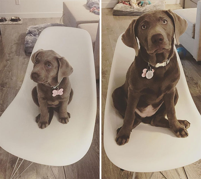 She's Grown A Lot In 10 Weeks