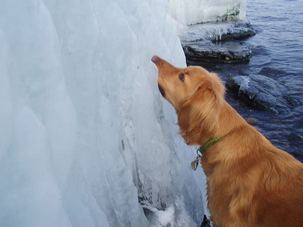 My Ice-lickin' Annie!