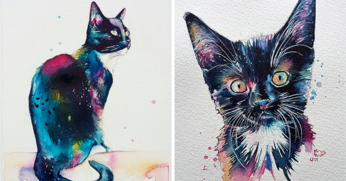 I Take Black Cats And Make Them Magical