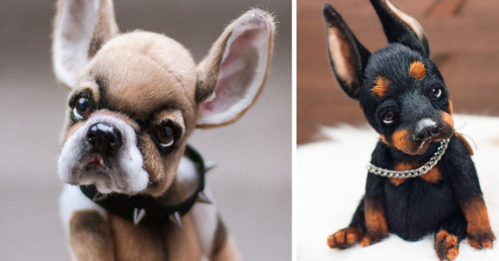 I Create Unique And Completely Handmade Dogs