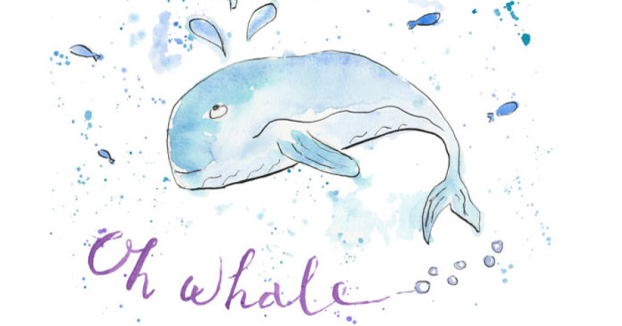 Say It Like They Say On The Discovery Channel