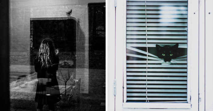 After Posting My Photo Project On Bored Panda I Lived A Year From Trading And Now I’m Releasing A Book