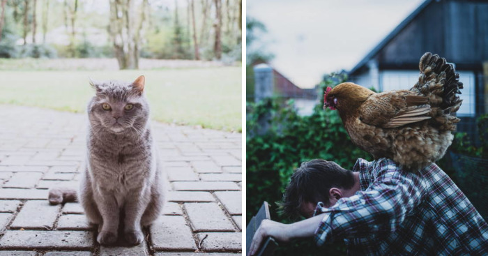 Meet All The Pets I Met While Living With Other People During A Year