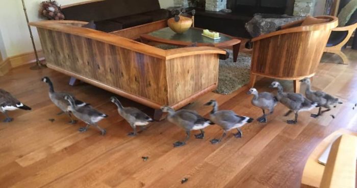 My Parents Have Lived In Their Home For Over 10 Years, This Was The First Time Anything Like This Had Happened