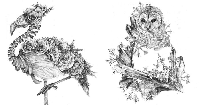 After Years Of Failing To Find My Drawing Style, I’m Finally Proud To Present These Animal Drawings