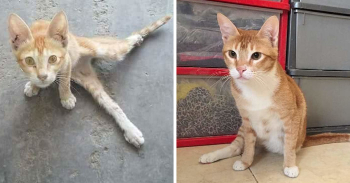 A One In A Million Meeting With A Lady With A Heart Of Gold