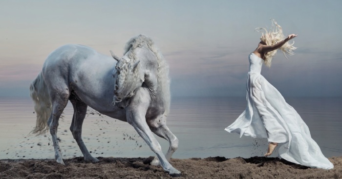 Where The Wild Horses Run