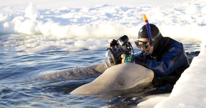 Behind The Scenes Of A Wildlife Photographer