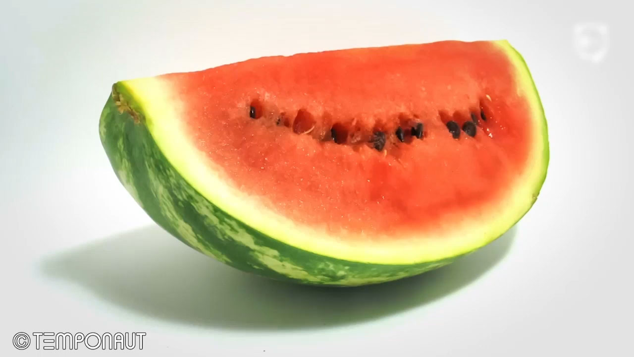 Food Aging Time-Lapse