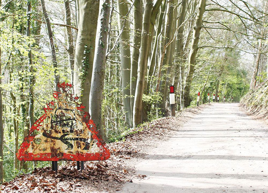 forests-cut-transit-nature-delivers-dan-rawlings--21