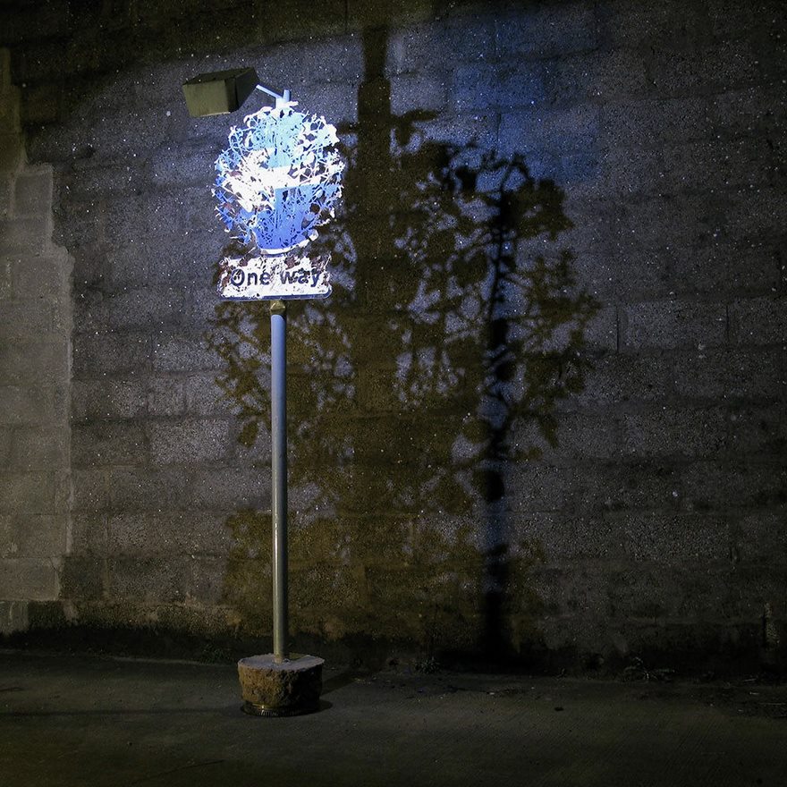 forests-cut-transit-nature-delivers-dan-rawlings -7