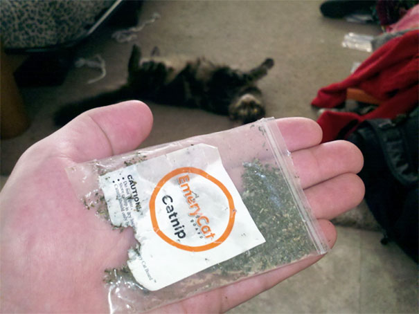 Well, That Taught Me A Lesson