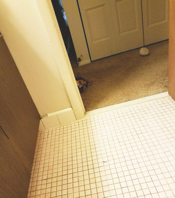 Anytime Go Into The Bathroom This Is What I See