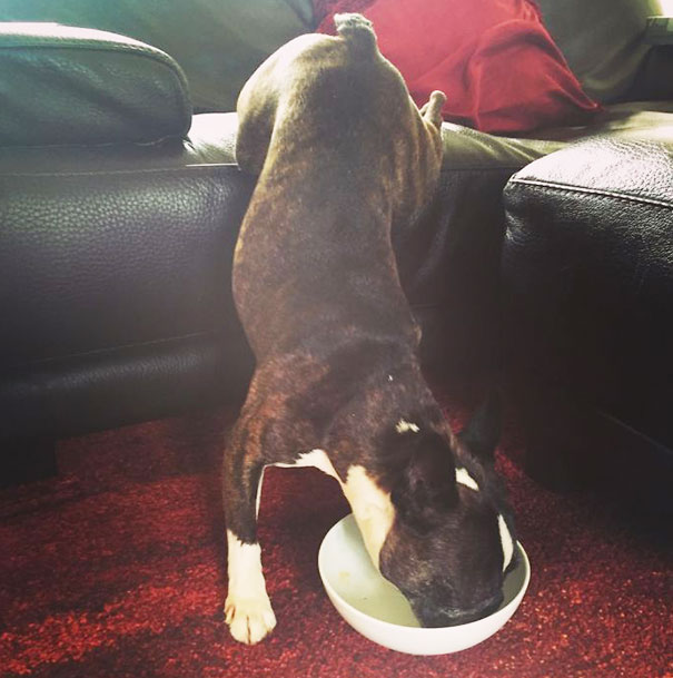 This Is How I Eat My Cereals