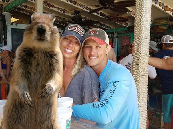 Photobombing Squirrel