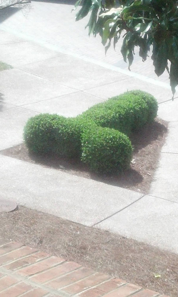 Stayed At The Gaylord Hotel In Nashville Last Weekend. This Was The View From My Window
