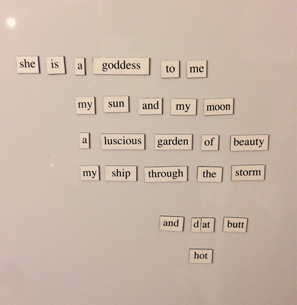 My Wife Didn't Appreciate My Fridge Magnet Poem