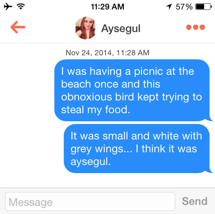 person flirting with woman using her name as a seagull pun 