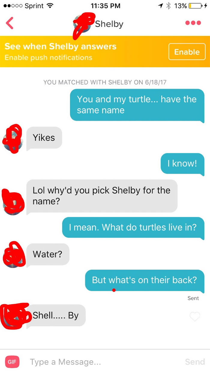 person flirting with woman using her name as a turtle pun 