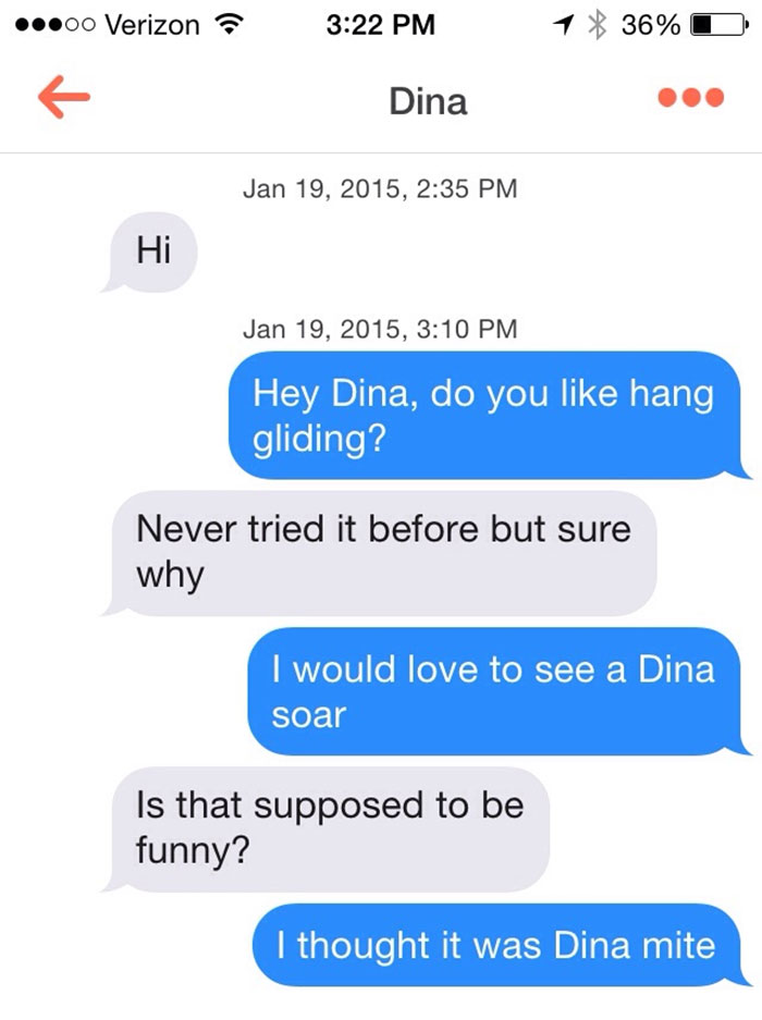 name dina puns 