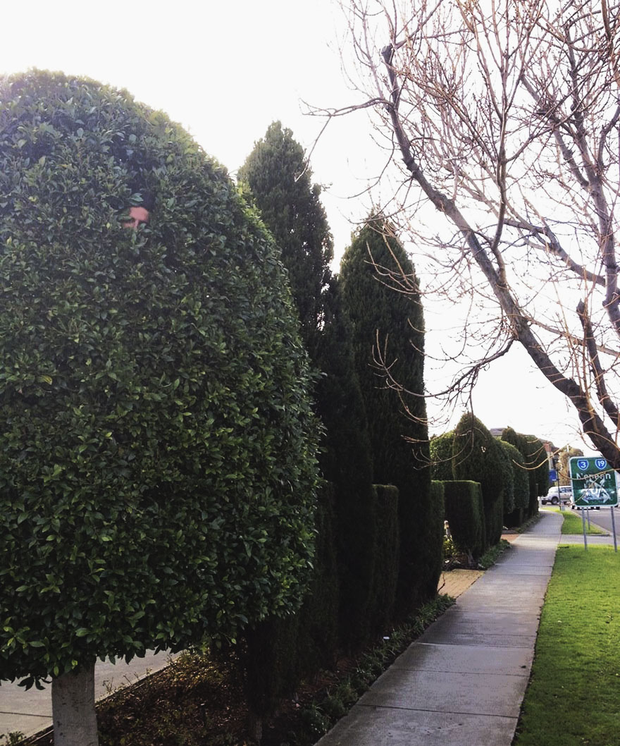 Gardener Sends Photos Of Himself At Work To His Friend, He Uploads Them Online And They Go Viral Gardener Sends Photos Of Himself At Work To His Friend, He Uploads Them Online And They Go Viral
