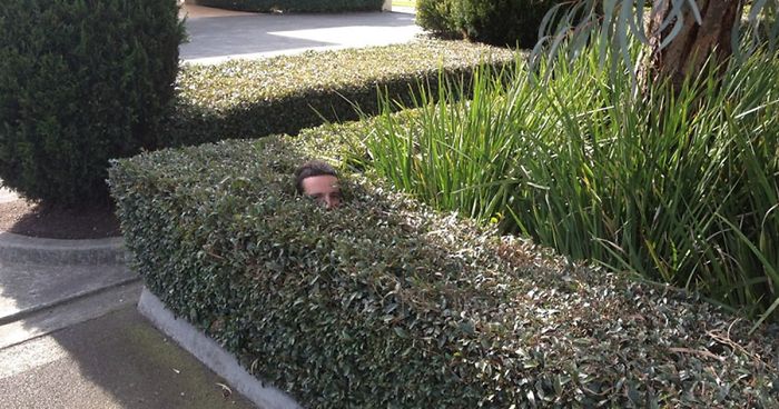 Gardener Sends Photos Of Himself At Work To His Friend, He Uploads Them Online And They Go Viral