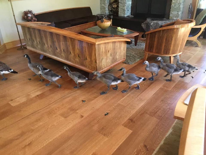 My Parents Have Lived In Their Home For Over 10 Years, This Was The First Time Anything Like This Had Happened