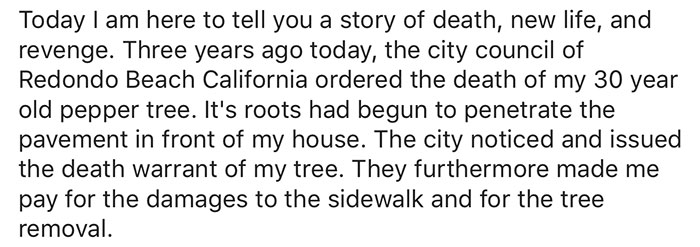 giant-sequoia-tree-mayor-revenge-story-3 giant-sequoia-tree-mayor-revenge-story-3