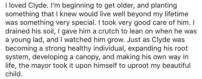 giant-sequoia-tree-mayor-revenge-story-4 giant-sequoia-tree-mayor-revenge-story-4