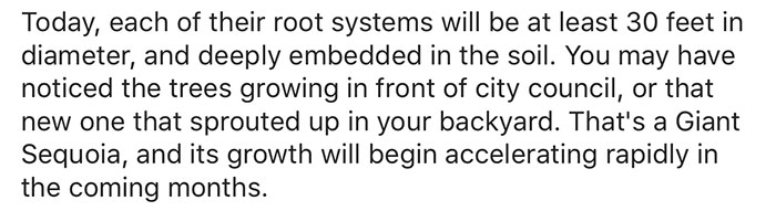 giant-sequoia-tree-mayor-revenge-story-6 giant-sequoia-tree-mayor-revenge-story-6