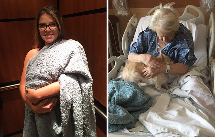 This Girl Just Smuggled Her Grandmother’s Dog Into Hospital, And People Can’t Handle It