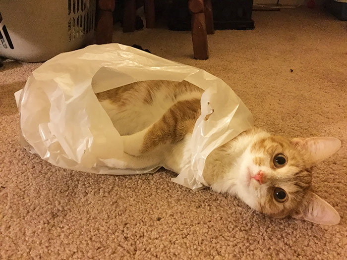 "Stop Looking At Me Like I'm The Weird One"