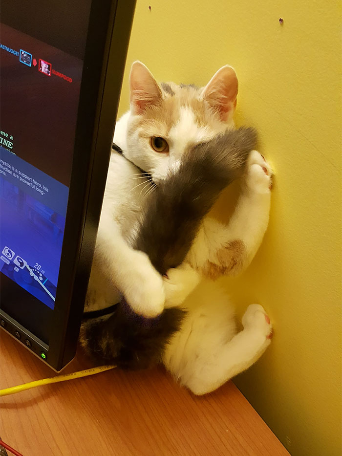 Esper Being A Total Weirdo