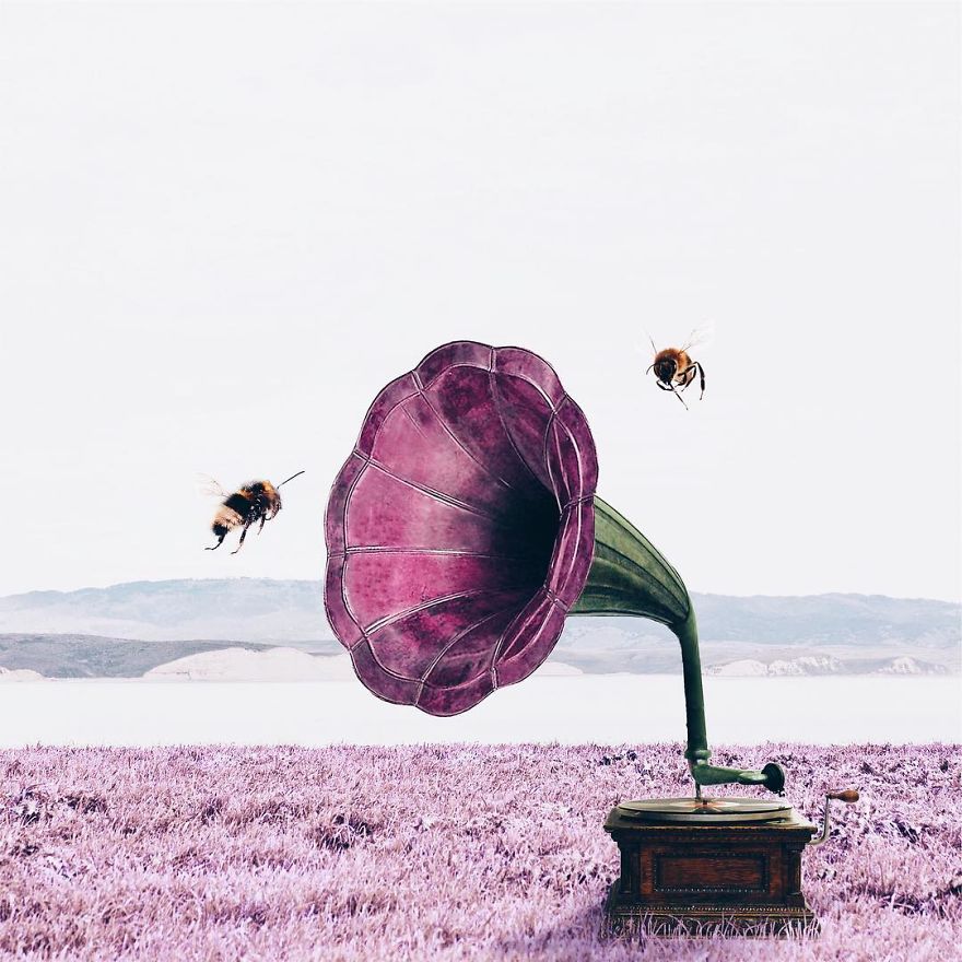 Surreal Art By Luisa Azevedo