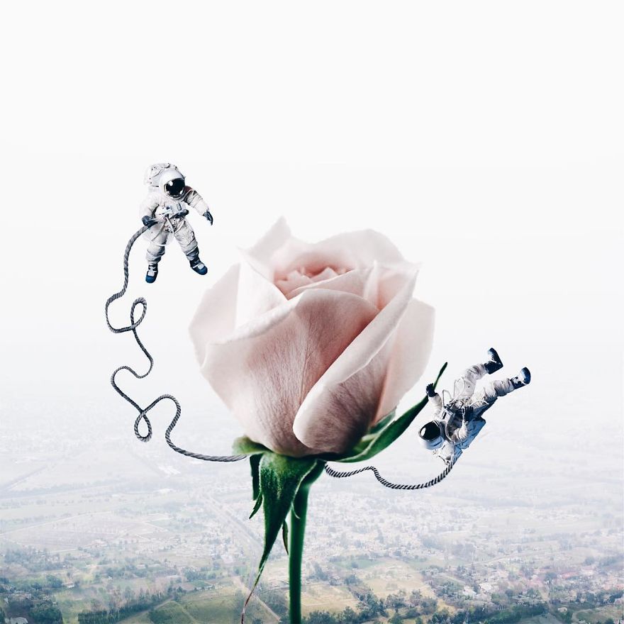 Surreal Art By Luisa Azevedo