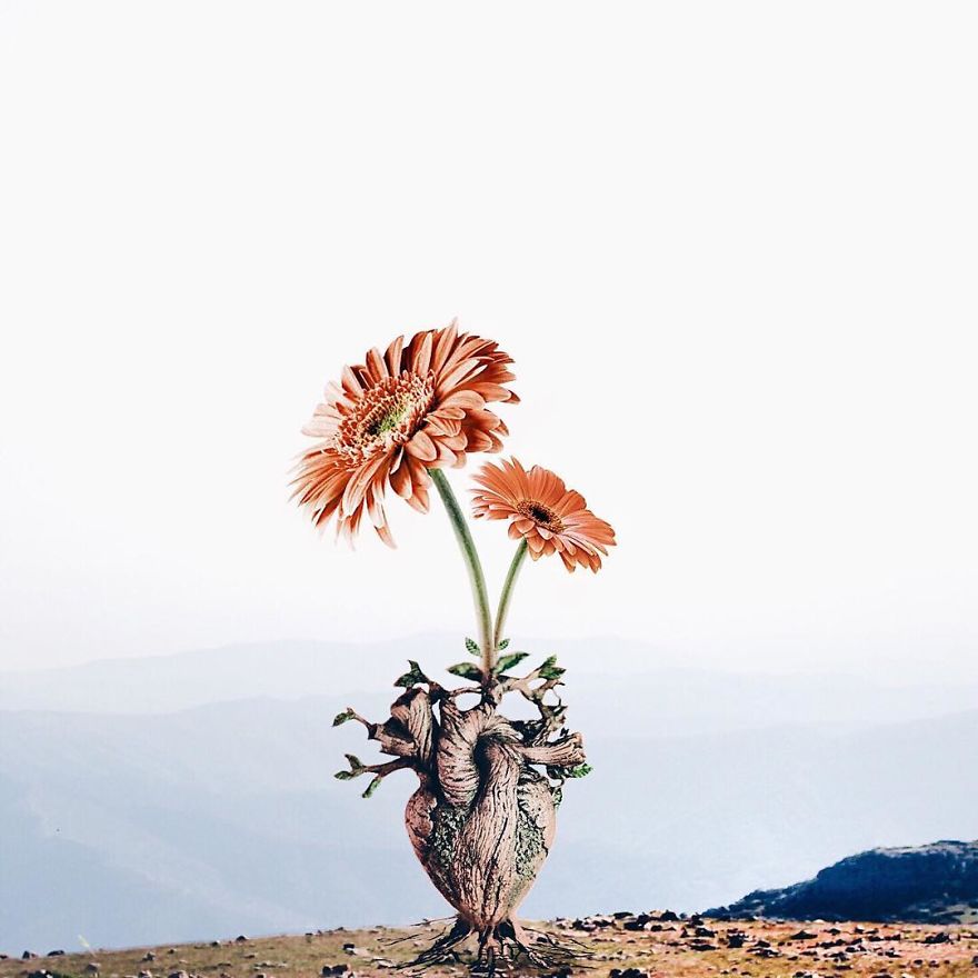 Surreal Art By Luisa Azevedo