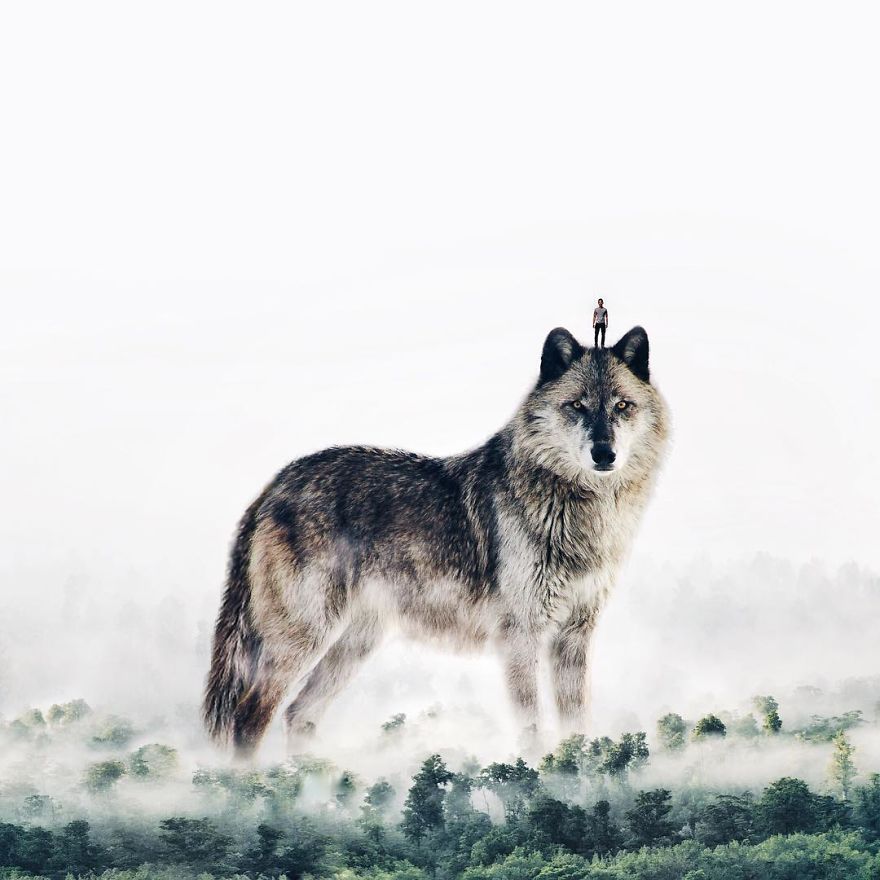 Surreal Art By Luisa Azevedo