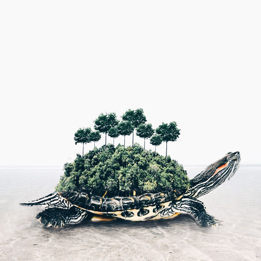 Surreal Art By Luisa Azevedo