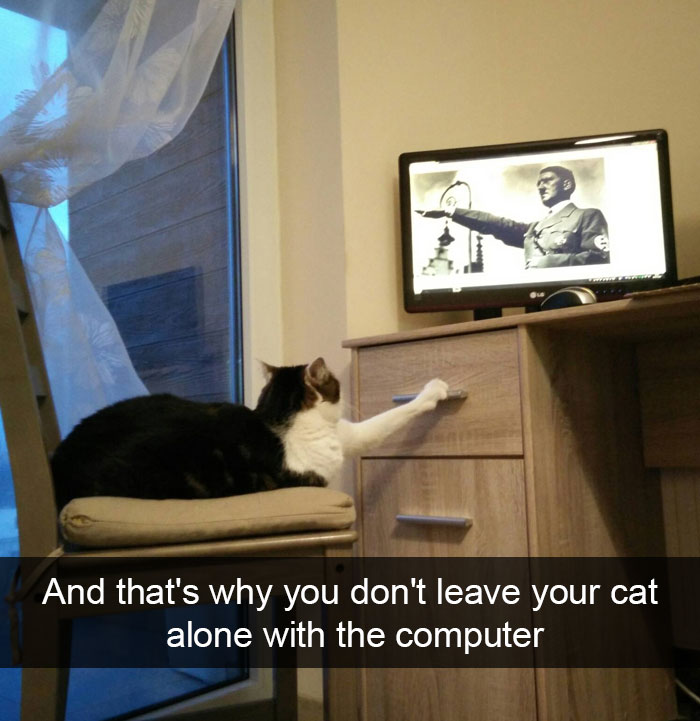 128 Hilarious Cat Snapchats That Are Im-paw-sible Not To Laugh At