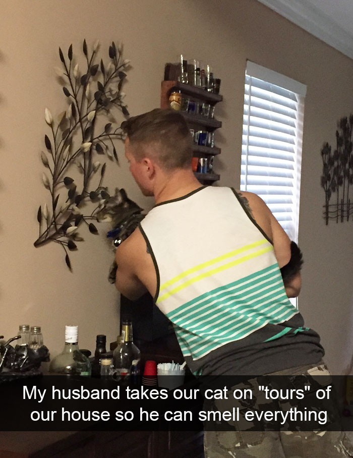 128 Hilarious Cat Snapchats That Are Im-paw-sible Not To Laugh At