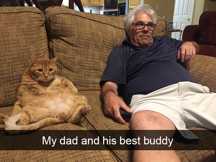128 Hilarious Cat Snapchats That Are Im-paw-sible Not To Laugh At