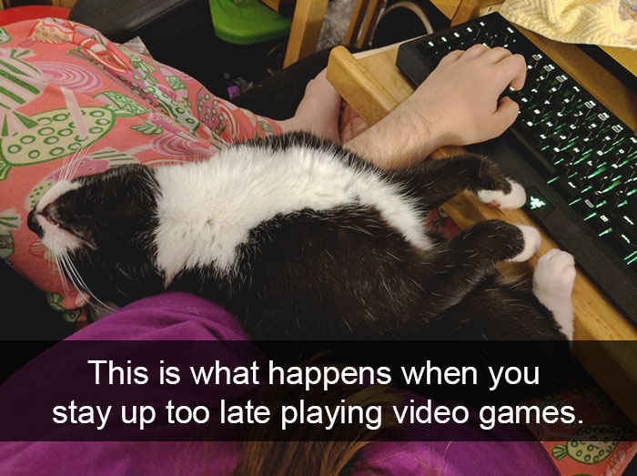 128 Hilarious Cat Snapchats That Are Im-paw-sible Not To Laugh At
